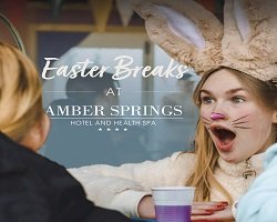 Easter Bunny & Friends Train Experience ! This Easter, step into a magical fairytale adventure where fun, mystery &        EGGS -citement await!